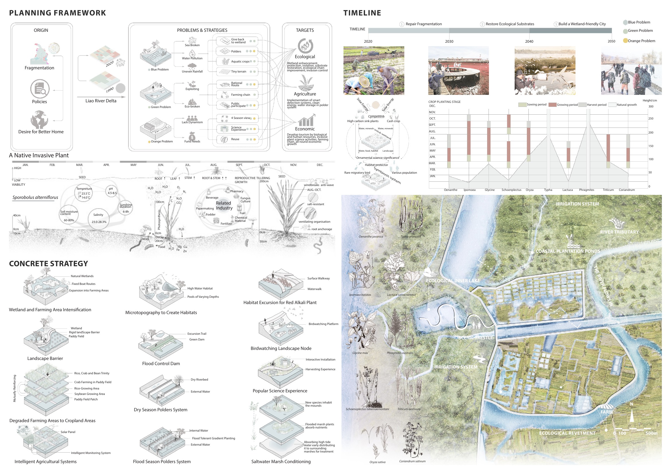 Blue Carbon Wetland Oasis — project board 2 of 3